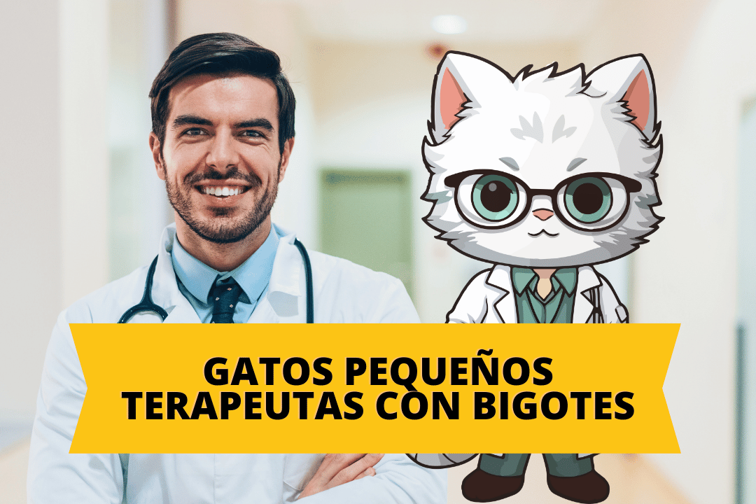 Gatos: Pequeños Terapeutas con Bigotes