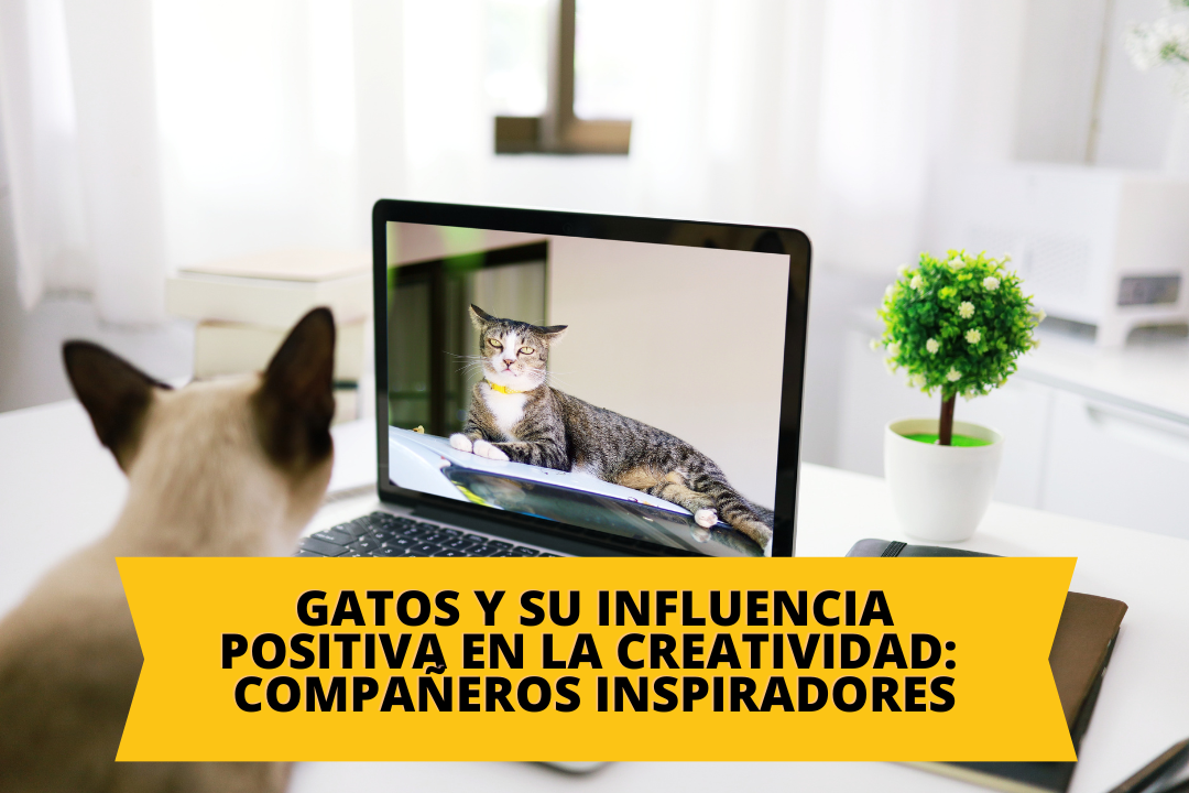 Gatos y su influencia positiva en la creatividad: compañeros inspiradores