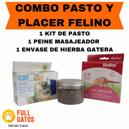 Combo Pasto y placer felino.