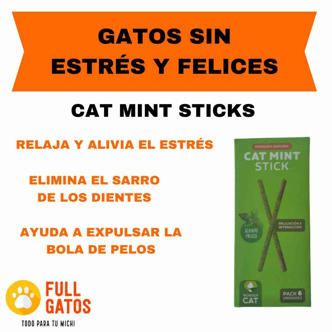 cat mint sticks para gatos