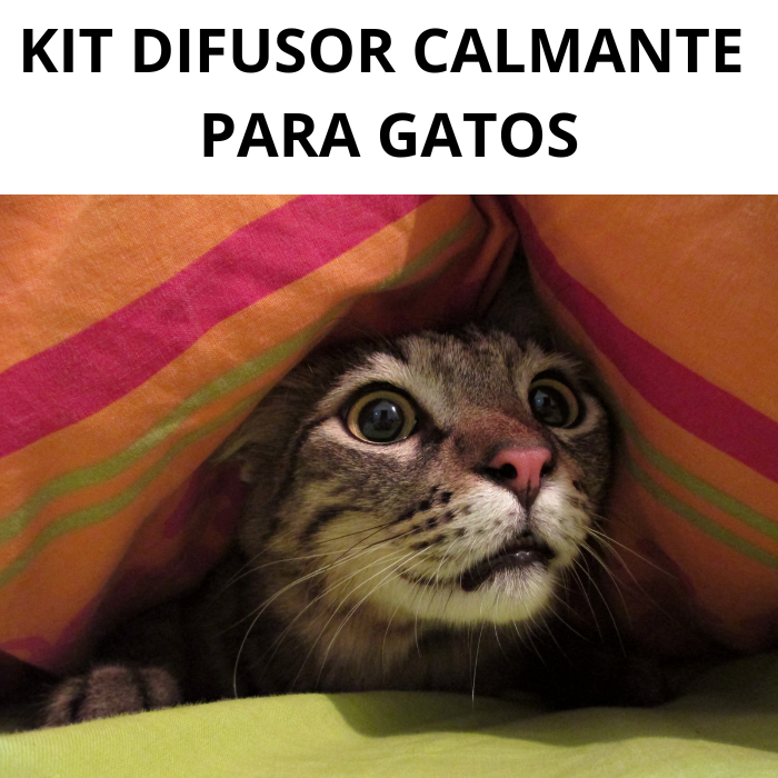 Kit difusor calmante para gatos y gatitos