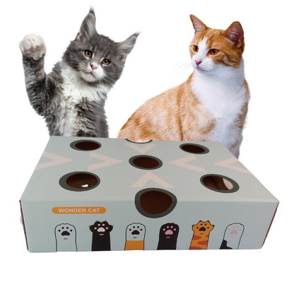 Juguete interactivo para gatos con 2 bolas con cascabel