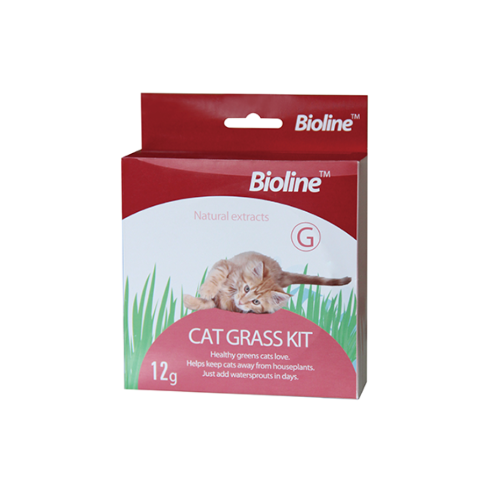Kit de pasto para gatos. Cat grass Kit Bioline
